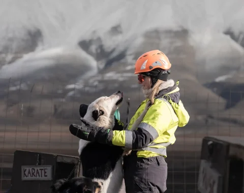 greendog-dog-sledding-on-wheels-21