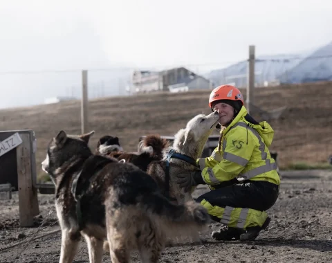 greendog-dog-sledding-on-wheels-23