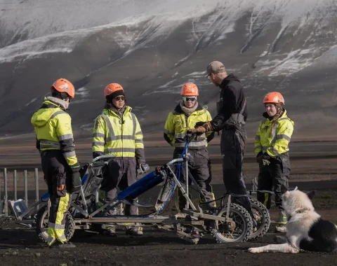 greendog-dog-sledding-on-wheels-29
