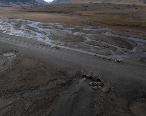 greendog-dog-sledding-on-wheels-drone-2