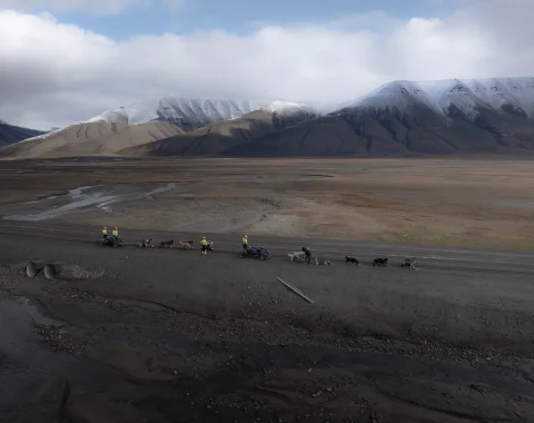 greendog-dog-sledding-on-wheels-drone-3