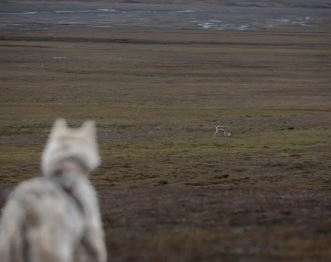 greendog-hiking-trip-to-fox-valley-2